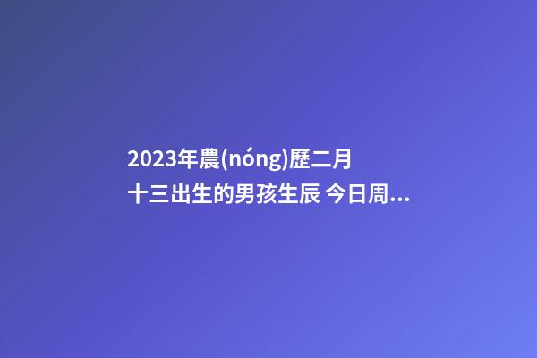 2023年農(nóng)歷二月十三出生的男孩生辰 今日周易五行取名